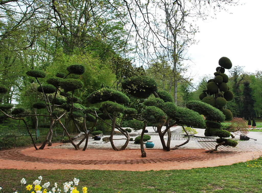 Les jardins de formes du Parc Floral
