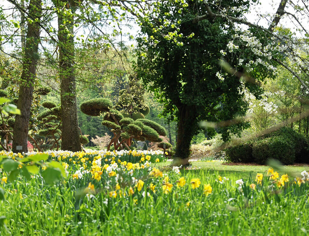 Les jardins de formes du Parc Floral