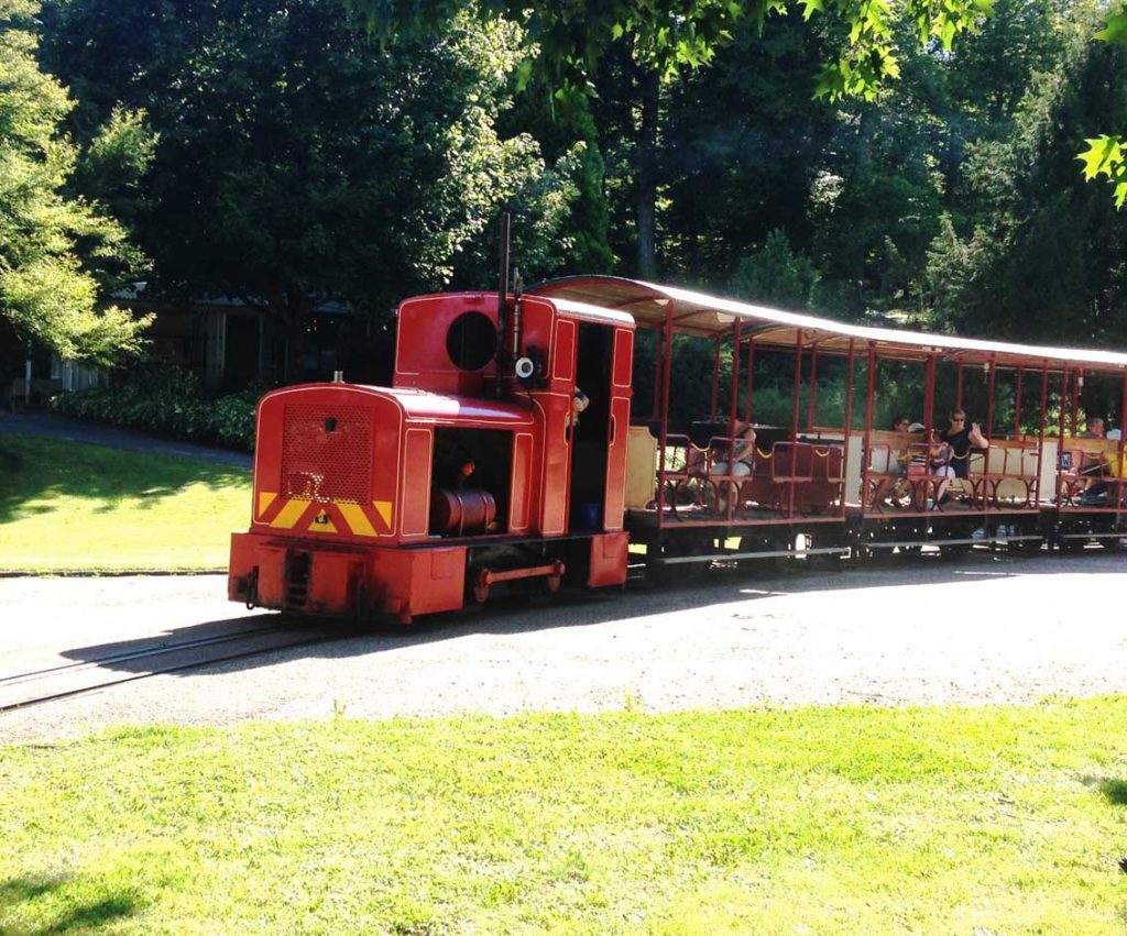 Petit Train Du Parc Floral