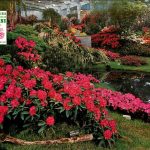 Floralies Hall Expo