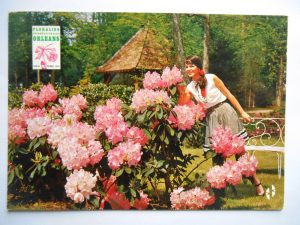 Floralies Kiosque Rustique