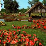 Sc+¿ne Fleurie Autour Du Lavoir Solognot