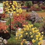 Sous Le Hall Des Expositions Exposition D'automne