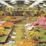 Sous Le Hall Des Expositions Les Chrysanth+¿mes
